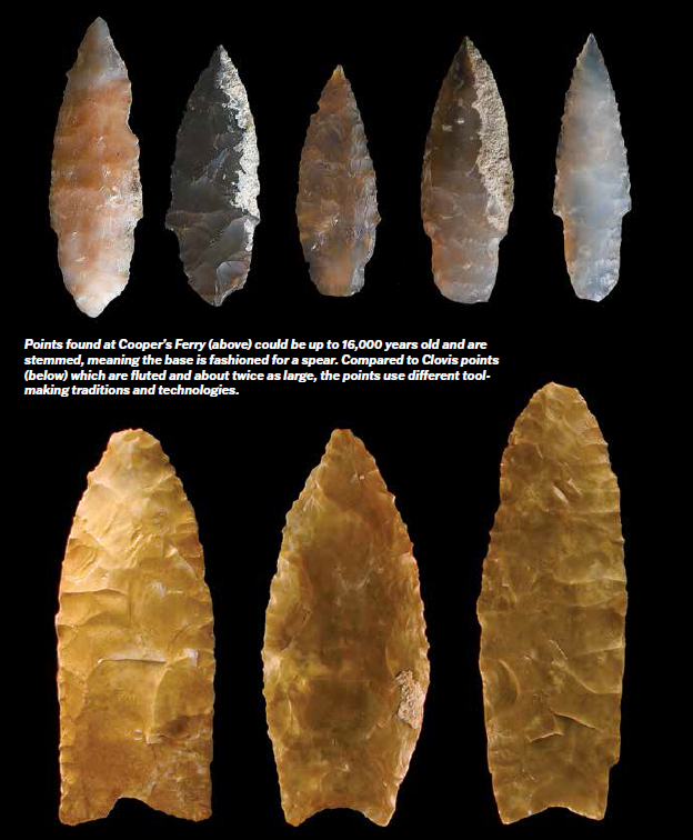 Coopers Ferry projectile points