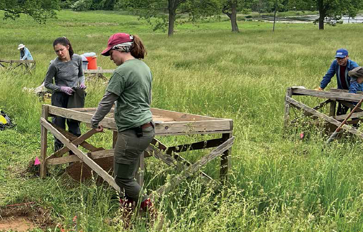 Archaeology students at work at a field school